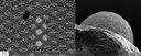 2008 Imaging Microstructure Contest Winners