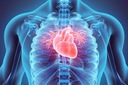 Bionic heart tissue: U-Michigan part of $20M center