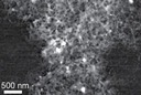 Burned rice hulls could help batteries store more charge