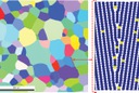 Combining atomistic simulations and machine learning to predict grain boundary segregation in magnesium alloys