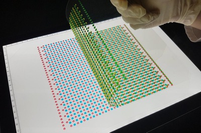 Electricity, eel-style: Soft power cells could run tomorrow’s implantables