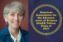 Goldman named 2021 AAAS Fellow
