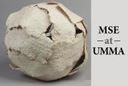 Materials tour created by MSE students now running at UMMA