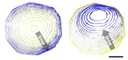 Now Showing in 3D: Quasicrystal Growth and Dissolution