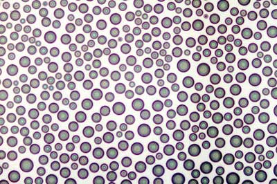 This microscopy image shows the crystal structure of ibuprofen, printed onto a silicon film using organic vapor jet printing. By Max Shtein This microscopy image shows the crystal structure of ibuprofen, printed onto a silicon film using organic vapor jet printing. By Max Shtein