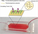 The Kim group developed stimuli-sensitive polymers for Efficient Capture and Release of Circulating Tumor Cells