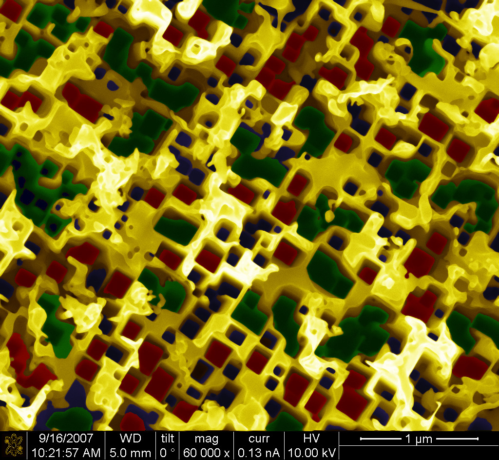 Alex Perez-Bergquist, 1st Place - Digitally Enhanced or Colorized Images of Microstructures