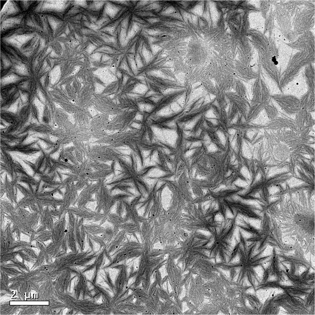 Kangwon Lee, 1st Place - TEM, X-Ray Imaging and Surface Probe Techniques