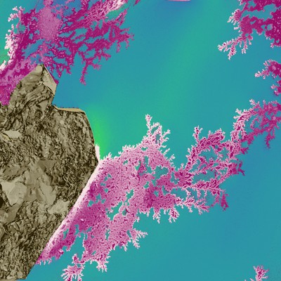 Kevin Grossklaus, 2nd Place - Digitally Enhanced or Colorized Images of Microstructures Kevin Grossklaus, 2nd Place - Digitally Enhanced or Colorized Images of Microstructures