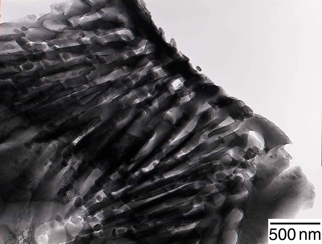 Jessica TerBush, 2nd Place - TEM, X-ray Imaging and Surface Probe Techniques