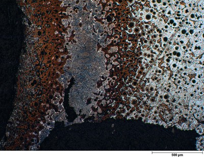 Steve Coryell, 3rd Place - Optical and Scanning Electron Microscopy Steve Coryell, 3rd Place - Optical and Scanning Electron Microscopy