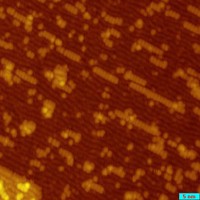 Coexistence of multiple surface reconstructions