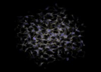 Connectivity of Microstructure