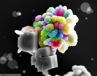CaCO3 nano-popsicle