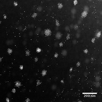 Self-assembly of nanoparticles in block copolymer thin film