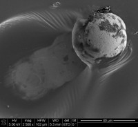 The planet plows onward