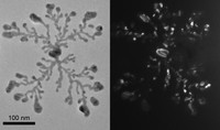 Nanogold dendrite