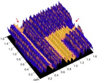 Piezoresponse ripples in ferroelectric BiFeO3