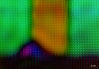 Polarization Vortex