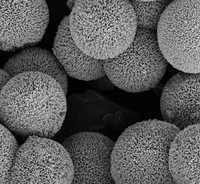 The Giant Hedgehog Particles