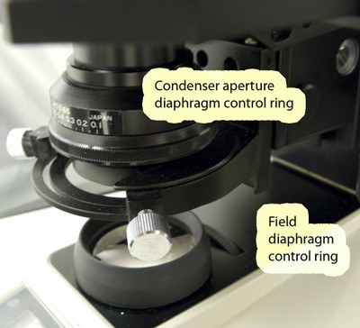 Transmitted Light Field and Apeture Rings