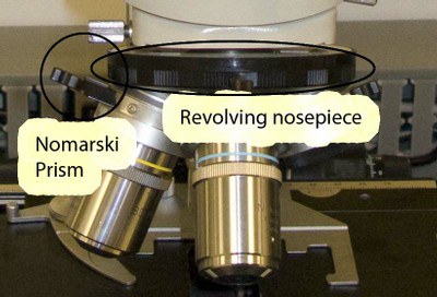 rotating nosepiece